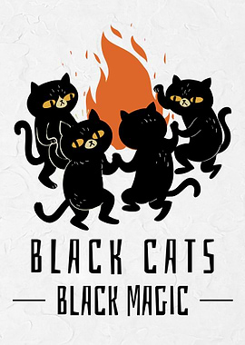 Black Cats Black Magic