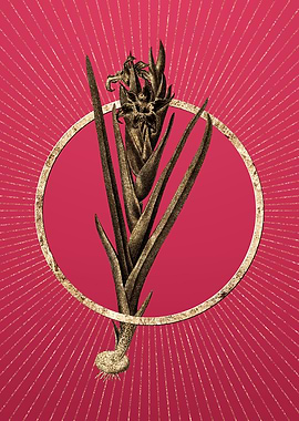 Ferraria on Viva Magenta