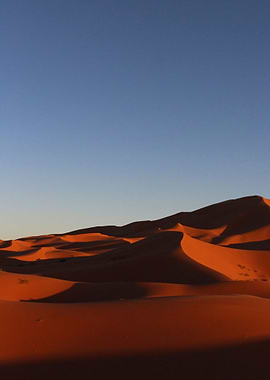 great desert