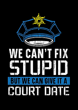 We Cant Fix Stupid Police