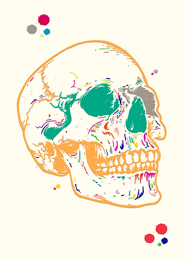 Human Skull