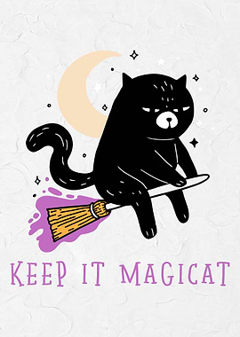 Black Cat Flying Broom