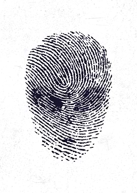 Alien UFO finger print