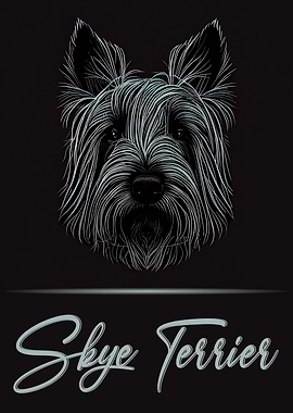 Adorable Skye Terrier