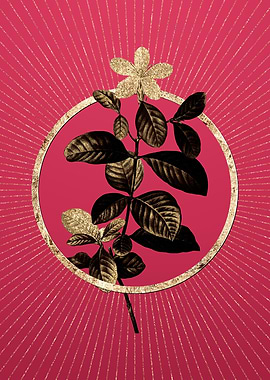 Gardenia on Viva Magenta