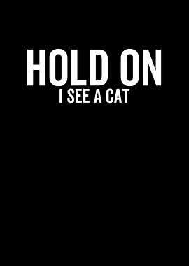 Hold On I See a Cat