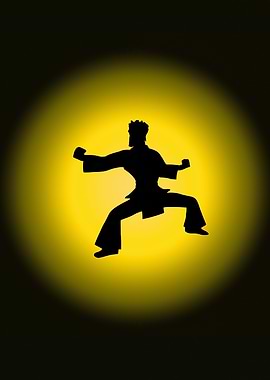 Silhouette kung fu fighter