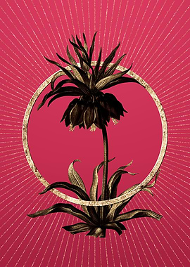 Viva Magenta Fritillaries