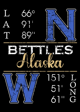 Bettles Alaska