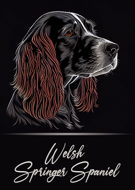Welsh Springer Spaniel