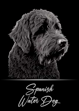 Spanish Water Dog Portrait