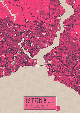 Istanbul City Map Blossom
