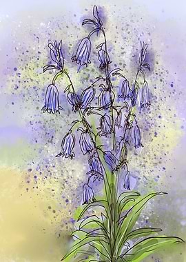 Spring Bluebells