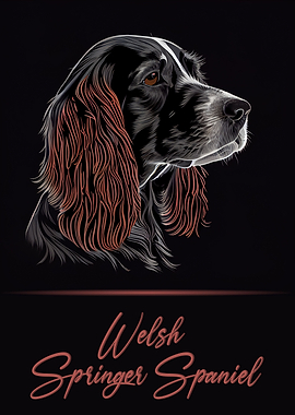 Welsh Springer Spaniel