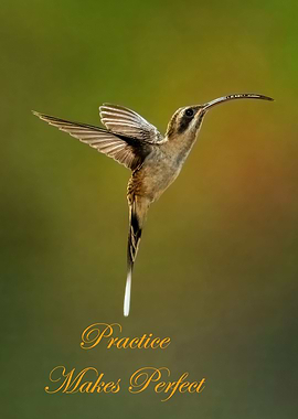 Practice Makes Perfect