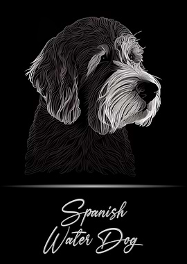 Spanish Water Dog