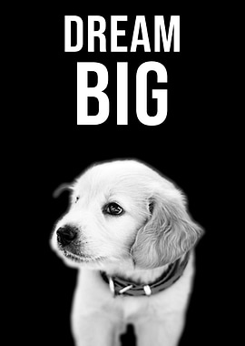 Dream Big quote Labrador