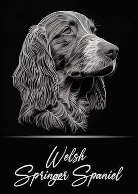 Welsh Springer Spaniel