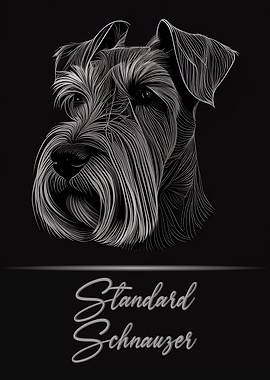 Standard Schnauzer