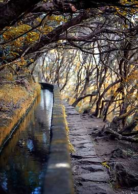 Madeira, Portugal island