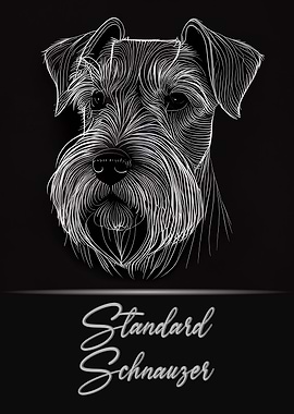 Standard Schnauzer
