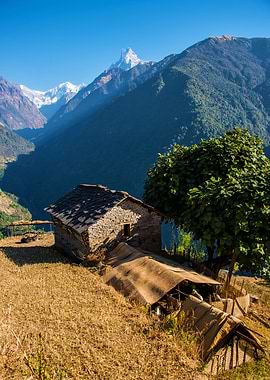 Himalayan Landscape