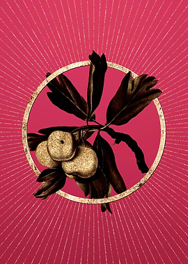 Hawthorne on Viva Magenta