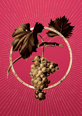 Grape Vine on Viva Magenta