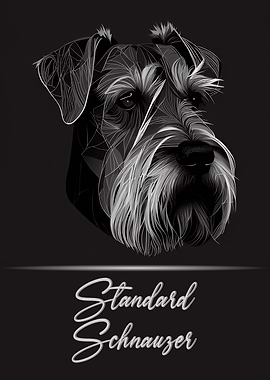 Standard Schnauzer
