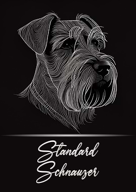 Standard Schnauzer
