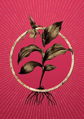 Gold Ladys Slipper Orchid