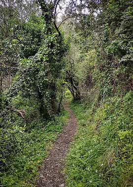 Hiking in Cinque Terre