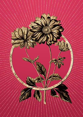 Hyacinth on Viva Magenta