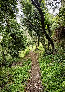 Hiking in Cinque Terre