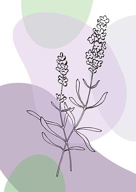 Lavender Minimalist