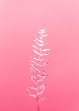 Pink flower tip