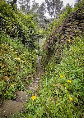 Hiking in Cinque Terre
