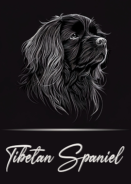 Adorable Tibetan Spaniel