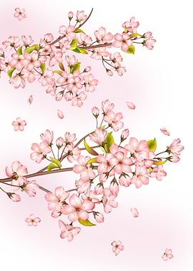 Cherry Blossom Tree