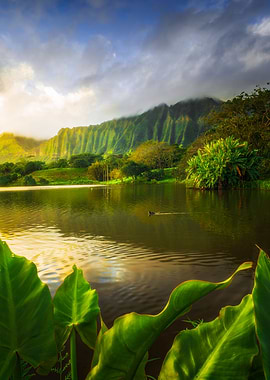 Last Sunrise of the Decade