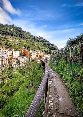 Hiking in Cinque Terre