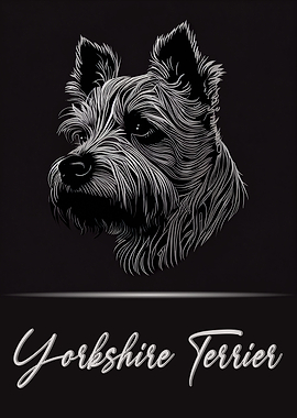 Elegant Yorkshire Terrier