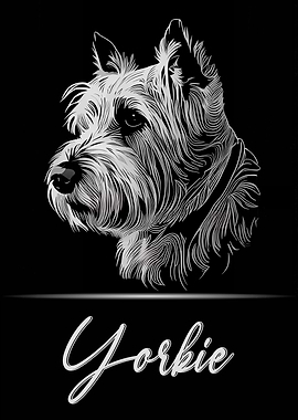 Yorkie