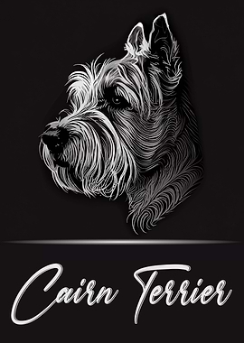 Cairn Terrier Portrait