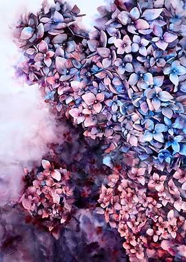 Watercolor hydrangea