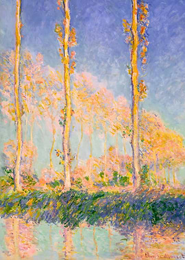 Poplar Trees in the Autum