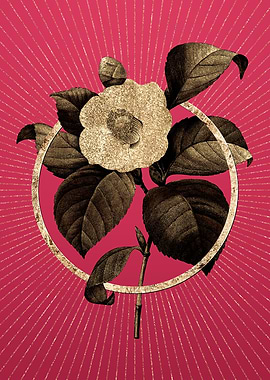 Gold Japanese Camelia