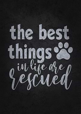 Best Things Are Rescued