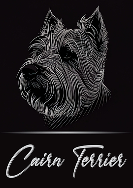 Adorable Cairn Terrier