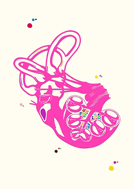 Cochlea of Inner ear